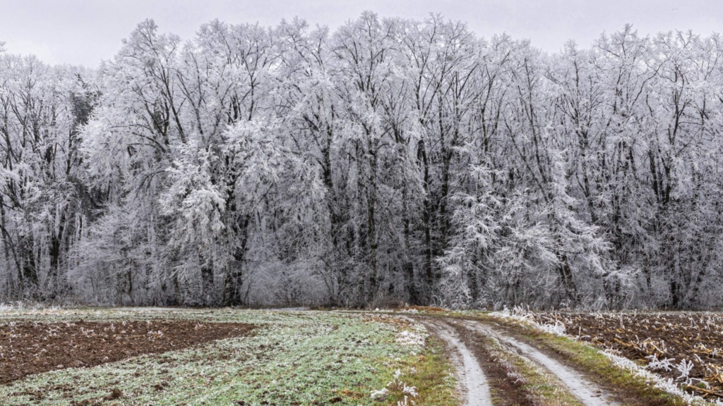 Fotografije: Milan Urošević