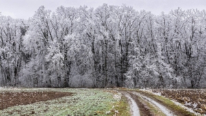 Fotografije: Milan Urošević