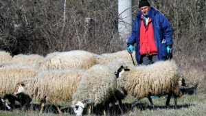 natječaj za poljoprivrednike