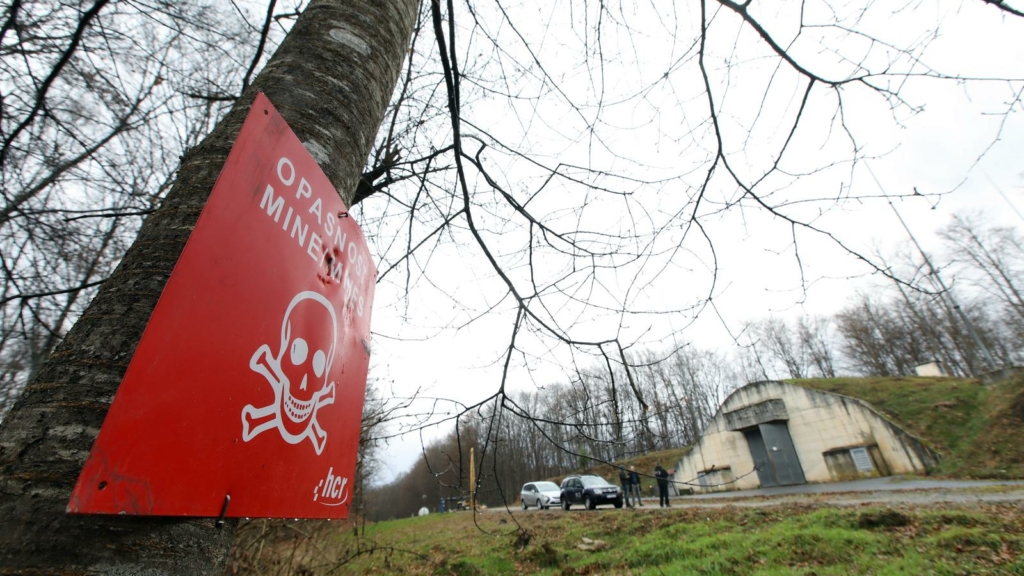 Nacionalna selekcija